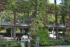 Bellevue WAsustainable-landscaping-1.jpg; ?>